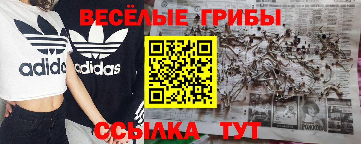 Псилоцибиновые грибы MAGIC MUSHROOMS Нарткала