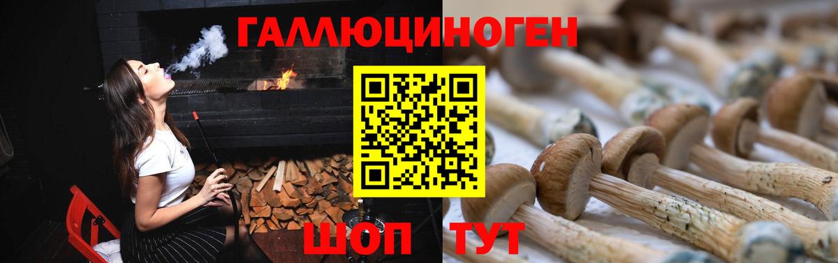 Псилоцибиновые грибы Psilocybine cubensis  Вход с VPN  Нарткала  Псилоцибиновые грибы мицелий 